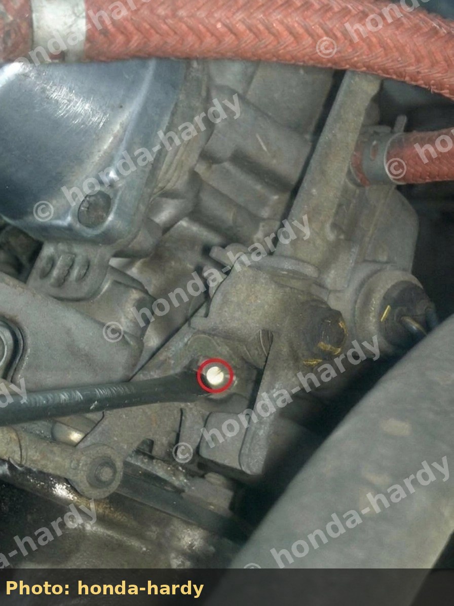 Annotated dual-carb adjuster screw with red circle